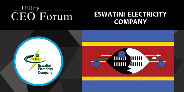 Eswatini Electricity Company